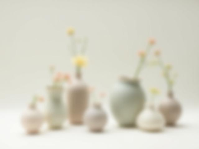 Kollektion von Miniaturvasen in verschiedenen Formen